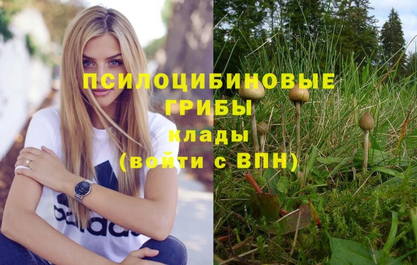 гидропоника Волоколамск
