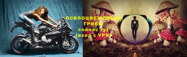 соль ск Володарск
